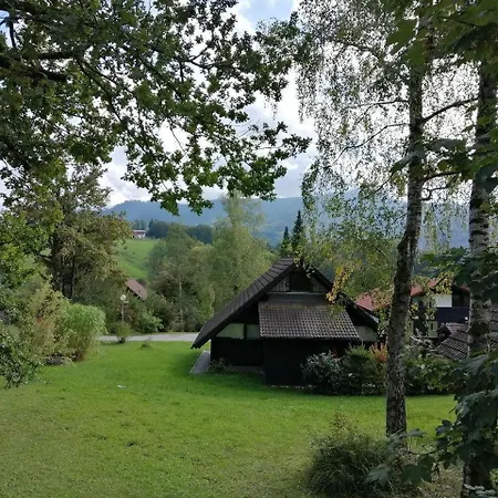 Begonie