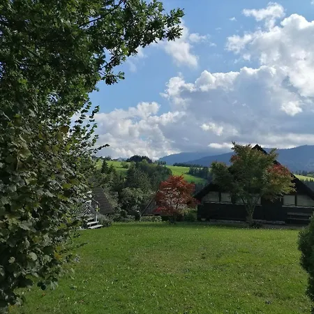 Begonie سيغزدورف