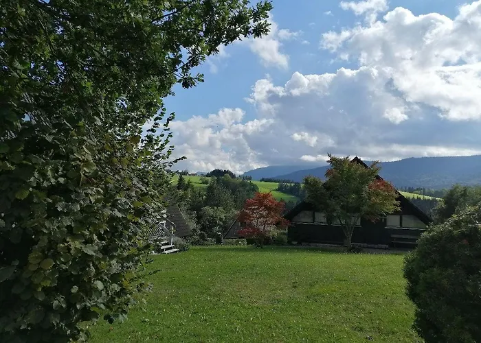 Begonie Siegsdorf
