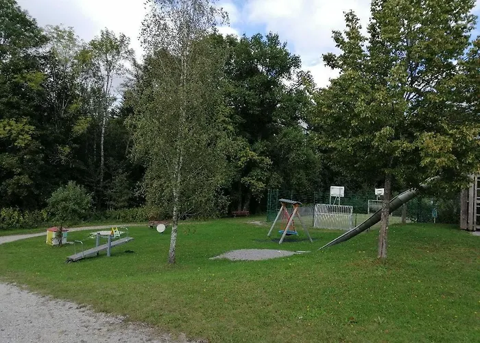 Begonie * Siegsdorf