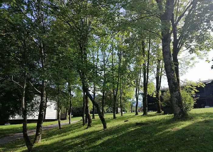 Apartman Begonie *