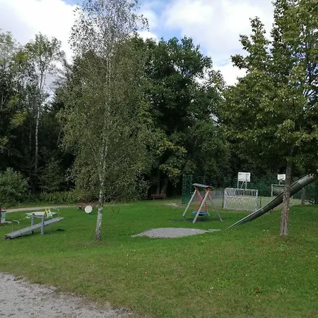 Begonie