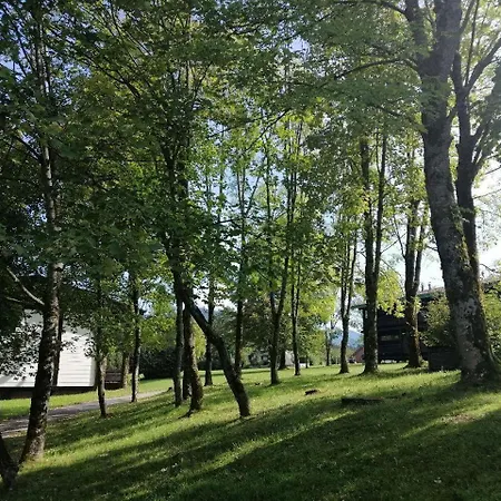 Apartment Begonie