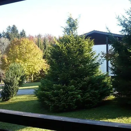 Begonie * Siegsdorf