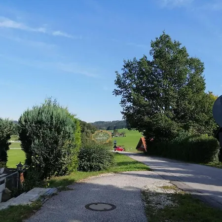 Begonie Apartment