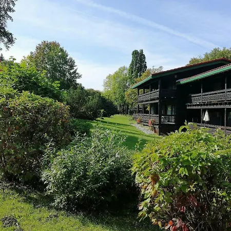Begonie * Siegsdorf