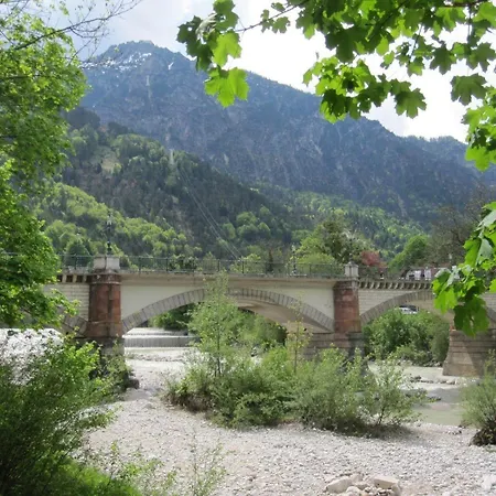 Begonie *