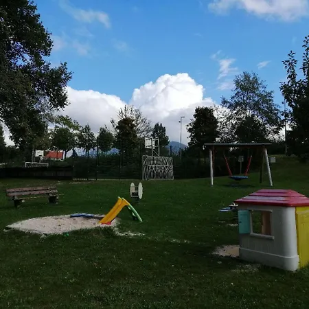 Begonie * Siegsdorf