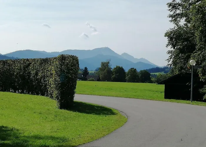 Begonie * Siegsdorf